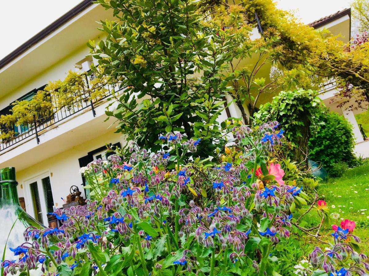 B&B La Libellula Castelnuovo Nigra Exterior foto